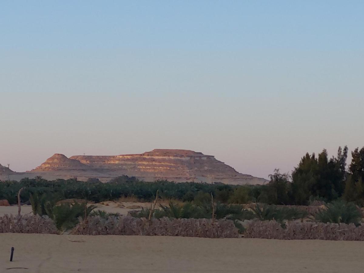מלון Siwa Oasis Hayaat Siwa Hot Spring מראה חיצוני תמונה